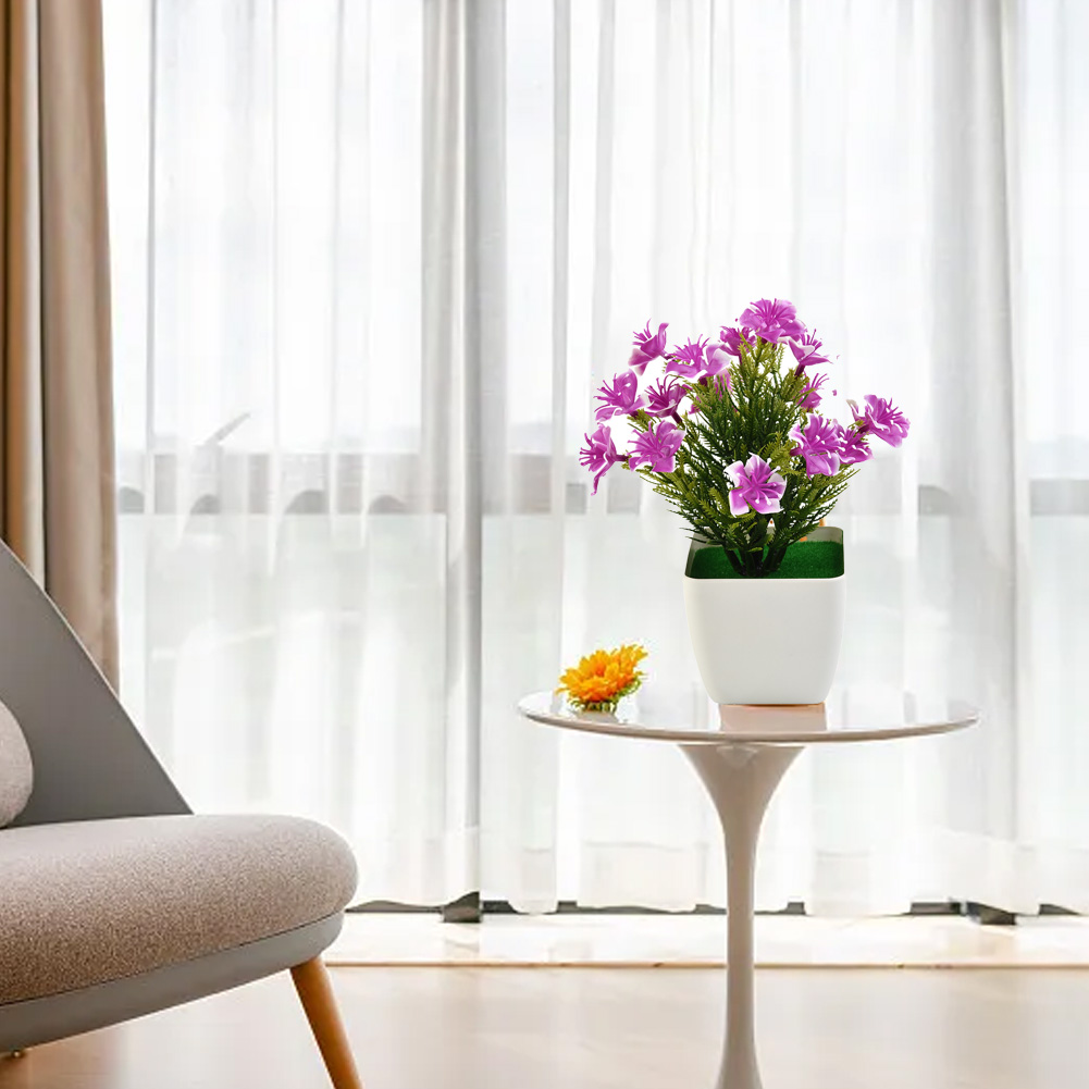 Nouveaux Accessoires de Haute  - Bonsai Garden China avis et prix