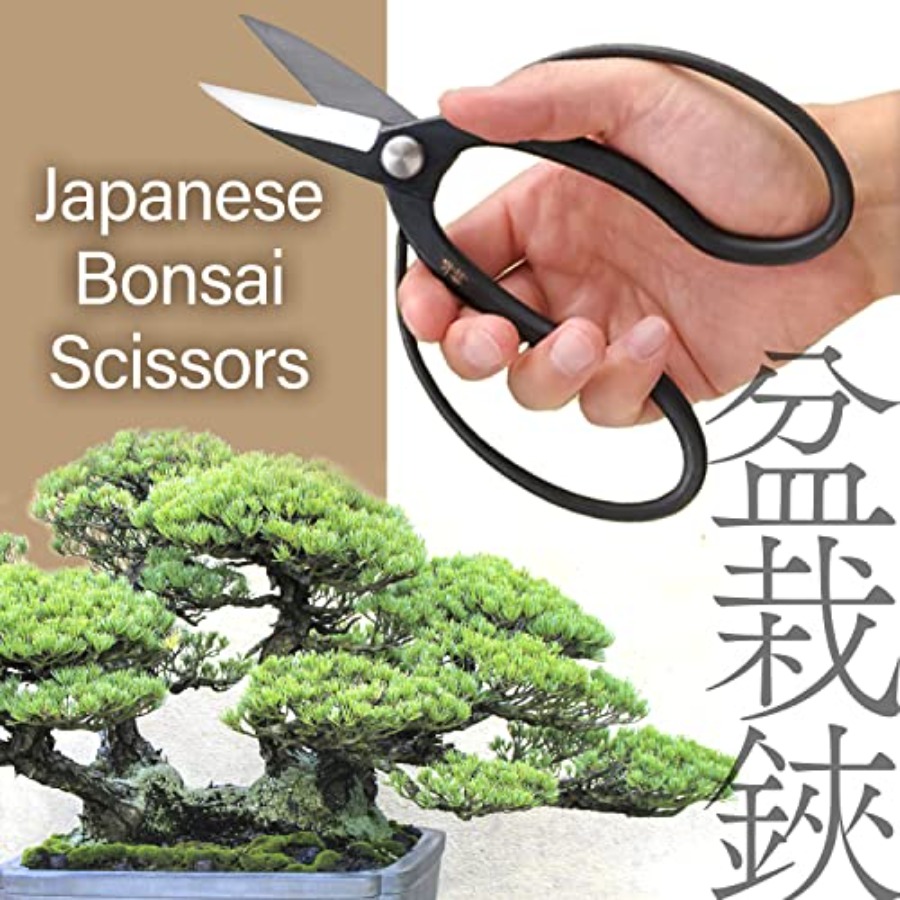 Ciseaux à bonsaï japonais Suir - Bonsai Garden Japan avis et prix
