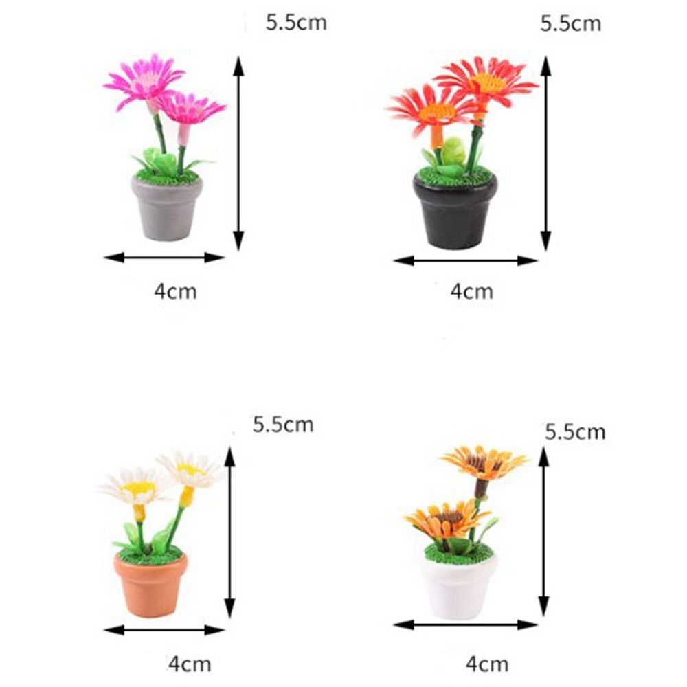 Plante Miniature en Pot pour m - Bonsai Garden China avis et prix
