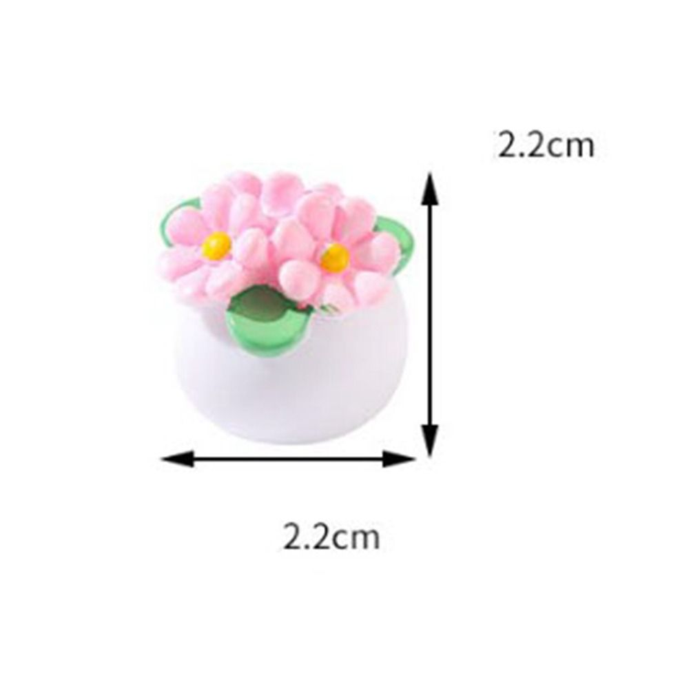 Plante Miniature en Pot pour m - Bonsai Garden China avis et prix