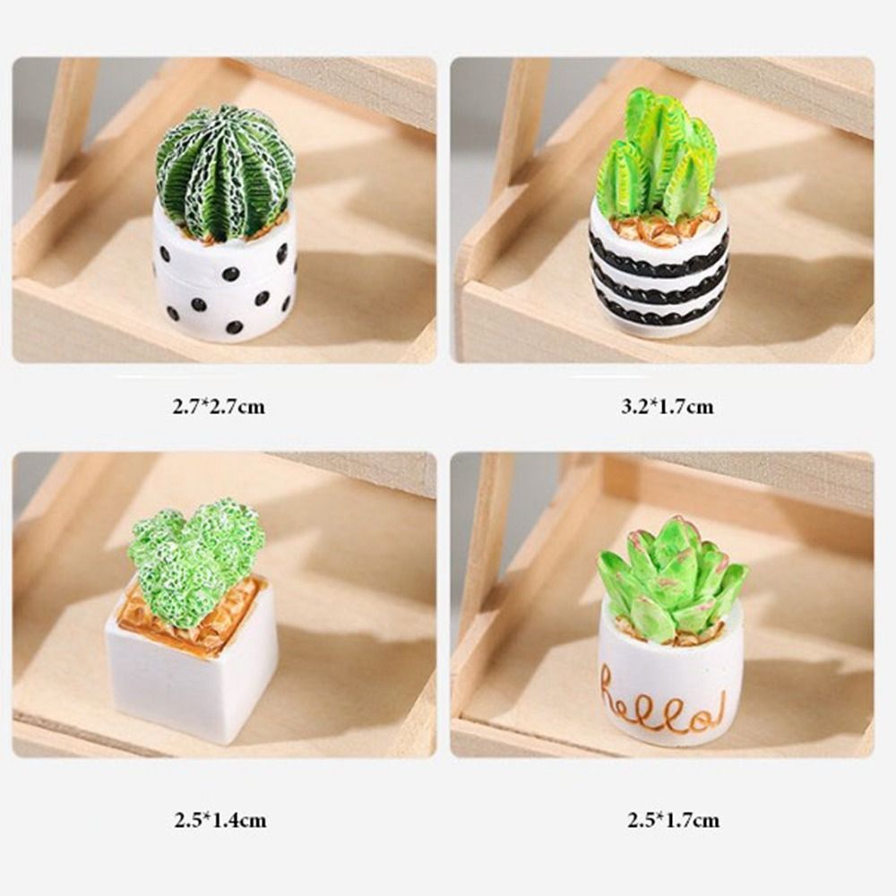 Plante Miniature en Pot pour m - Bonsai Garden China avis et prix