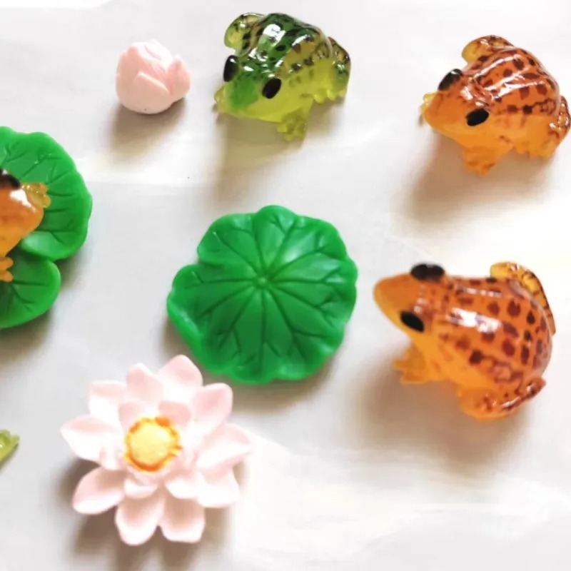 Jolies petites grenouilles ver - Bonsai Garden China avis et prix