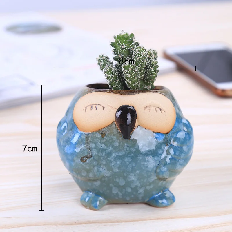 Mini pot à succulentes en céra - Bonsai Garden Wall avis et prix